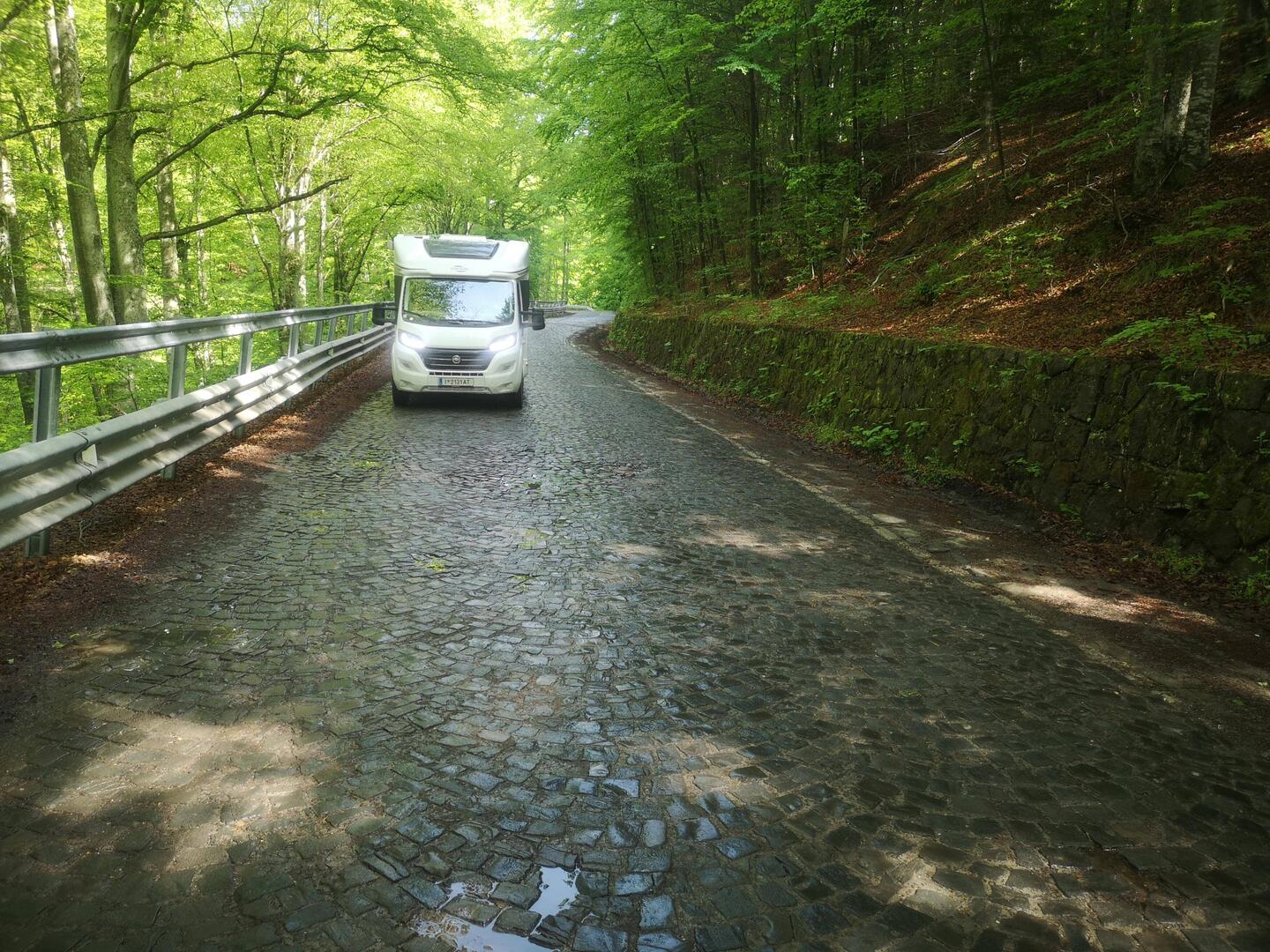 Gepflasterte Straßen mag Balú gar nicht