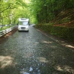 Gepflasterte Straßen mag Balú gar nicht