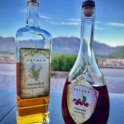 Willkommensgetränke