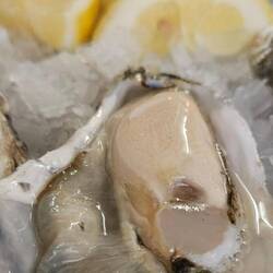 Austern am Markt Bolhao