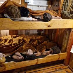 Auswanderer, pro Pritsche 5 Personen