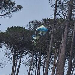 Werbegag fürs Paragliding 🫣?