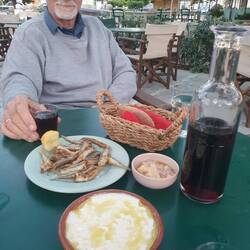 Dinner at Pylos
