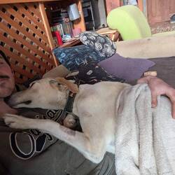 Storm, braucht sehr sehr viel nähe, sie ist ein sehr spezieller Hund 😂