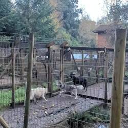 So läuft das Füttern ab