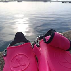 Die besten Flossen im ☀️schein (und auch im 🌊)