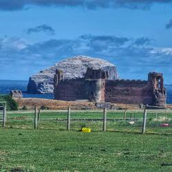 Bass Rock und Tantallon Castle