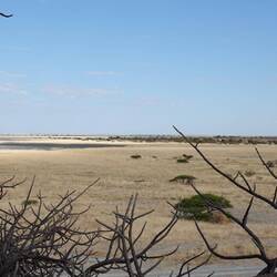 Zu viel Stille und Weite für uns