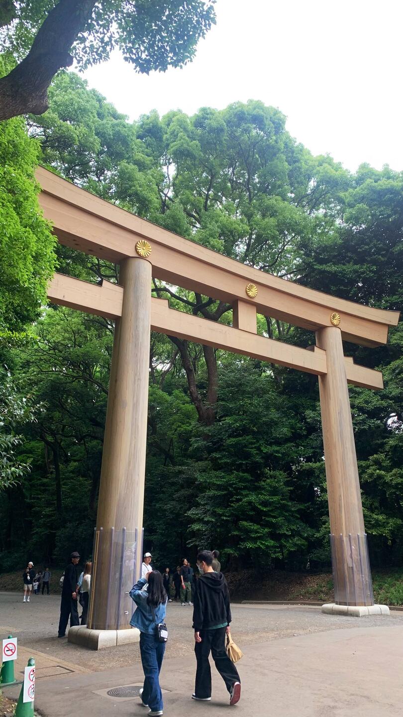 Première magnifique Porte Torii ⛩️