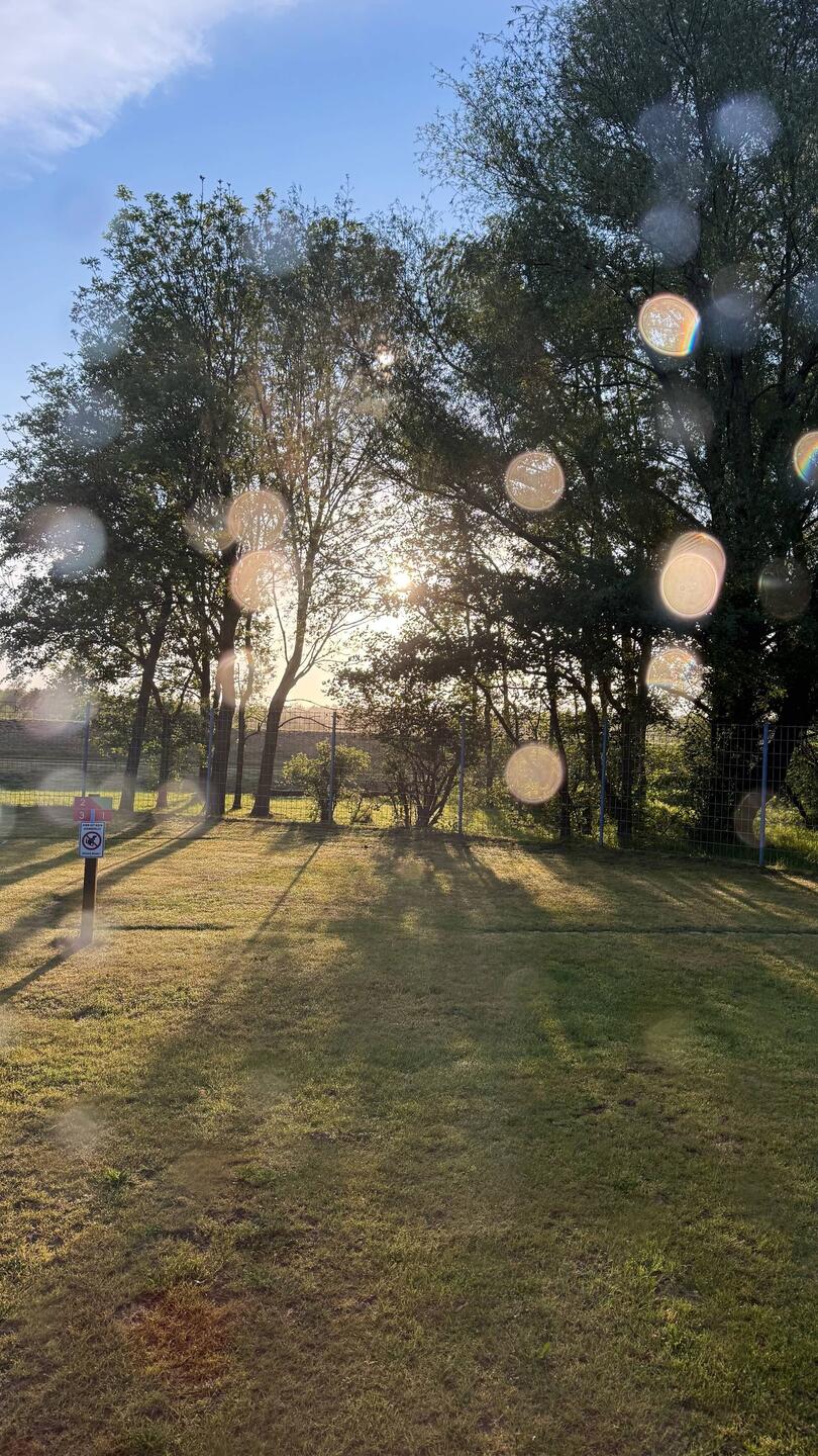 Wenn die Regentropfen von gestern die Sonne reflektieren