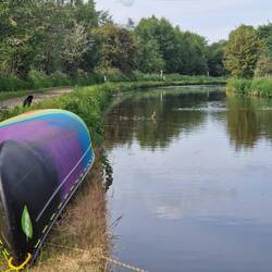 So did Whiskers 🫣