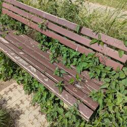 Ich nehme doch die anderen