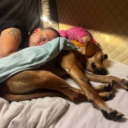 Every morning the same procedure