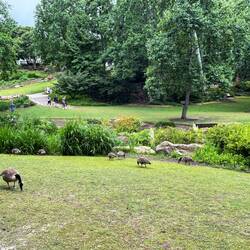 Falls Park, Greenville, SC