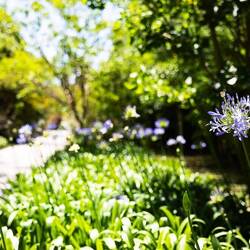 Im botanischen Garten ... .