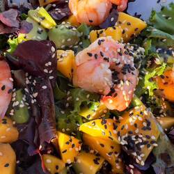 Salat mit Scampi, Avocado, Mango, Blattsalat und Sesam - sehr lecker!
