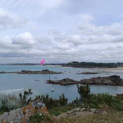 dort hinten steht Kurt 🦙