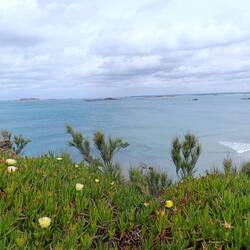 da ist der Name Programm 😍