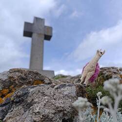 ... wurde vom Winde verweht 😂