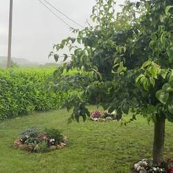 Punktlandung: Gerade noch vor dem Regen angekommen