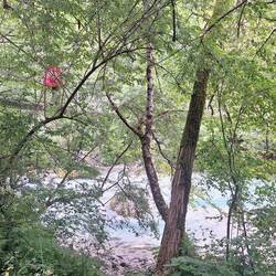 Wanderer laufen über die Brücke