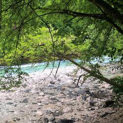 Die Soča hat nicht übermäßig viel Wasser