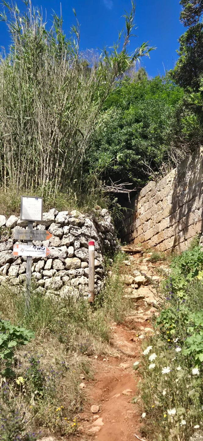 Today's starting, goat path up a mountain!