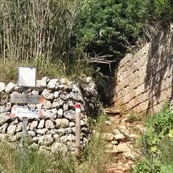 Today's starting, goat path up a mountain!