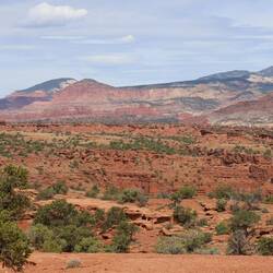 Bye, Capitol Reef