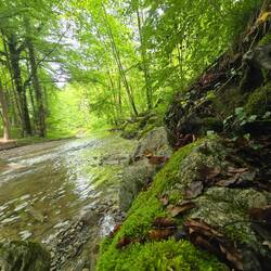 Rohrdorfer Achen bei Rohrdorf