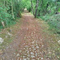 Reste der Römerstraße