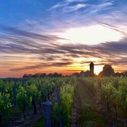 Was für eine schöne Stimmung.