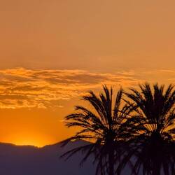 Ein wunderschöner Sonnenuntergang heute Abend.