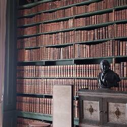 The Library