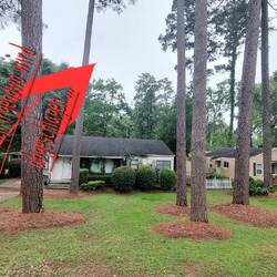 Im Hintergrund = Augusta National Golf Club