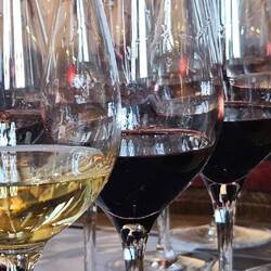 Portweinverkostung - Ramos Pintos