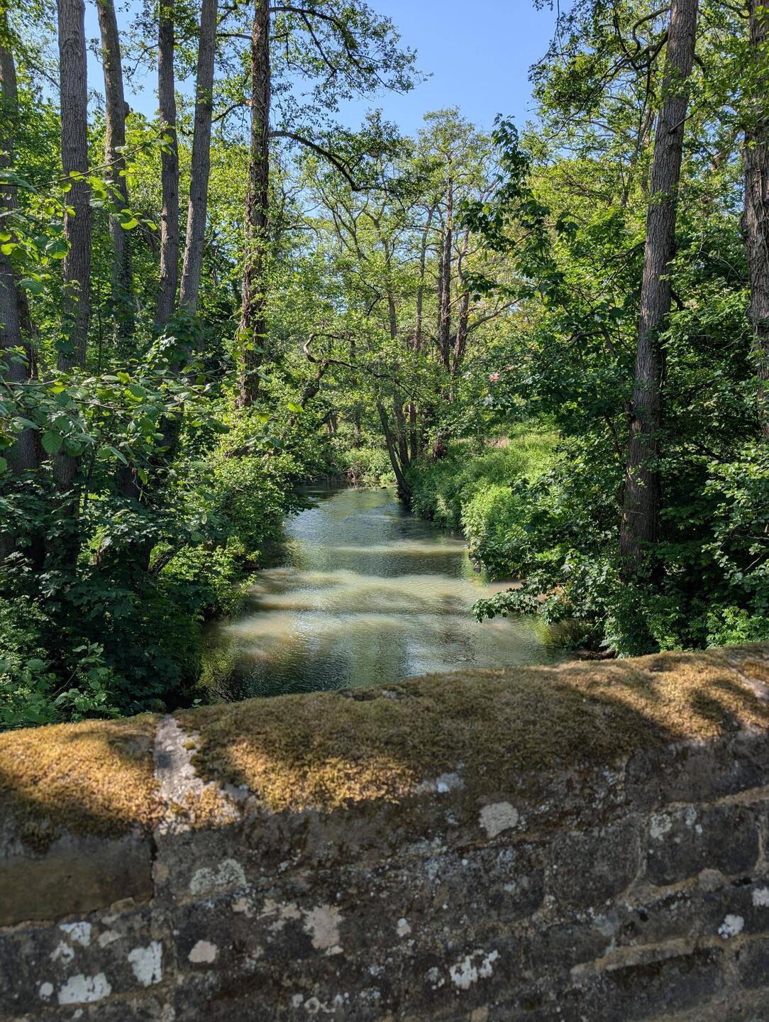 View of stream from bridge