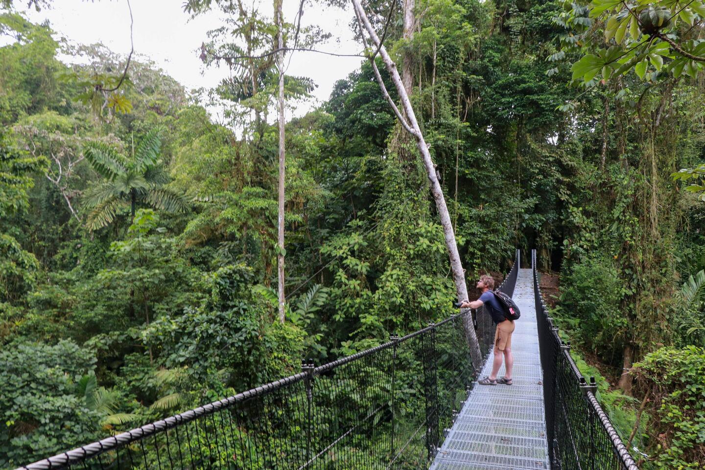 Hangende brug resort