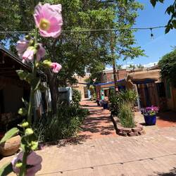 Typische Häuser in Old-Town