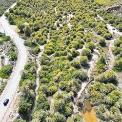 Der Palmenwald🌴🫶❤️