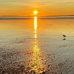 Sunset at 80 Mile Beach