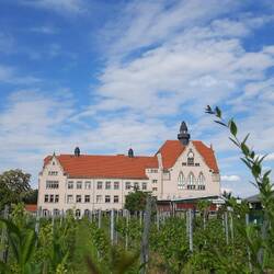 Das " Franziskaneum "- Gymnasium