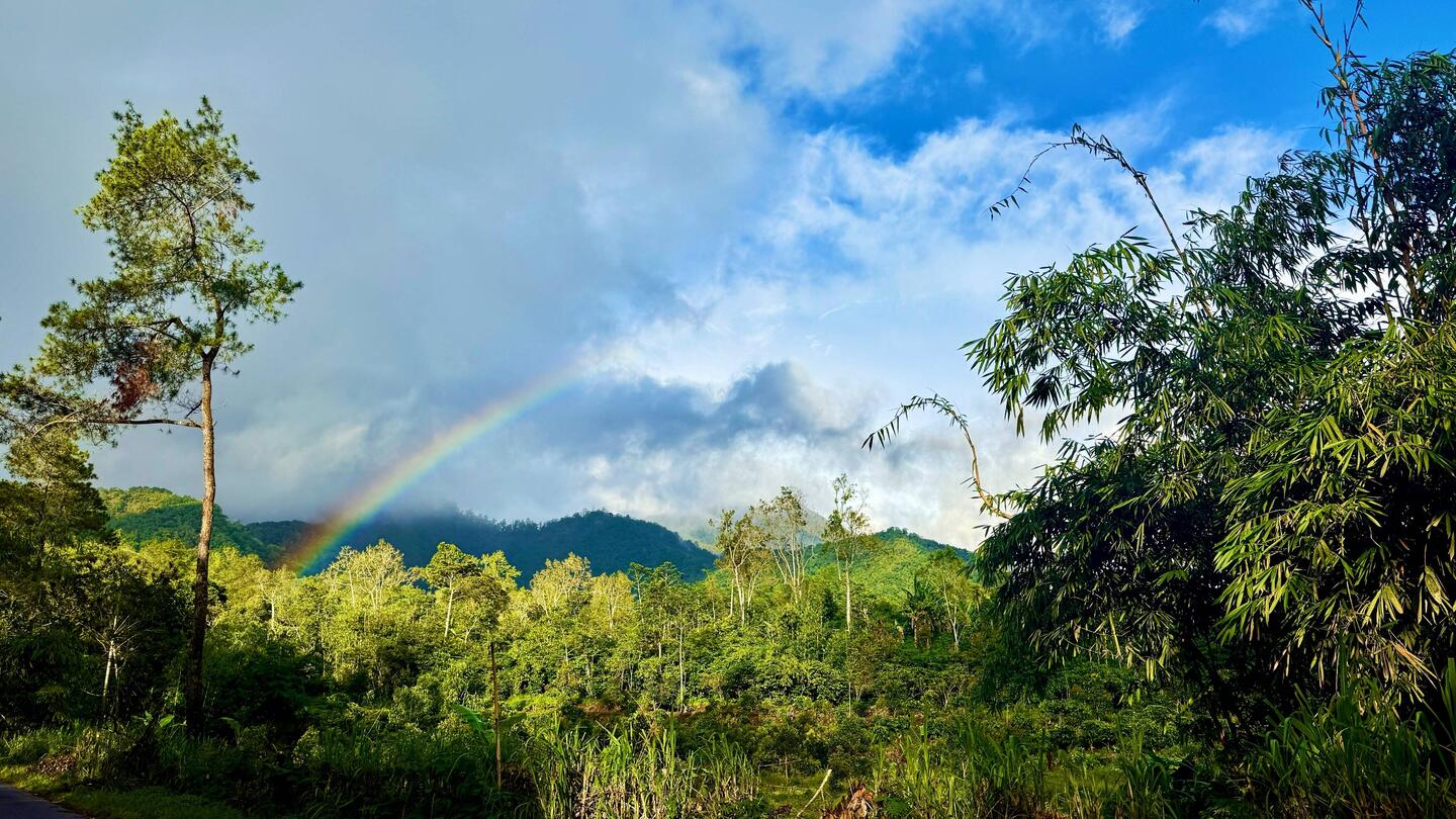 Arc en ciel sur notre 1ere sortie trail Jerem et moi, qui lui coûtera une cheville foulée 😓😢