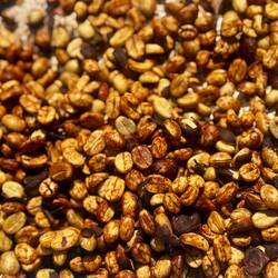 Depioté pour sécher au soleil, manque plus que la torréfaction (j'adore le café balinais !)