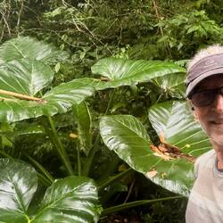 Végétation luxuriante et parfois chemins impraticable (ou presque)