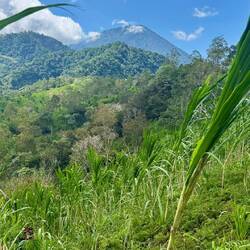 Le volcan toujours majestueux durant ma rando solo