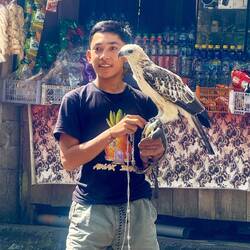 Il ne s'intéressent pas qu'aux abeilles 🤩