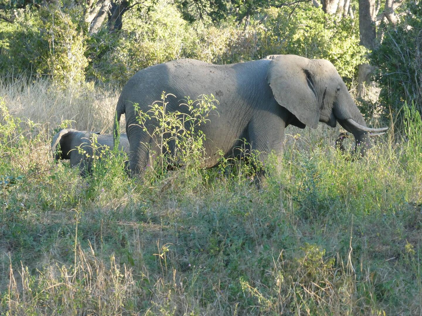 Mom and baby