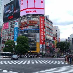 Le fameux Shibuya Crossroad