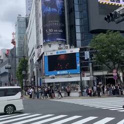 Connu pour la scène de Fast and Furious Tokyo Drift tournée ici !